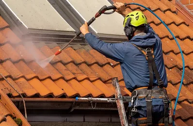 Démoussage et hydrofuge de toiture à Dehéries